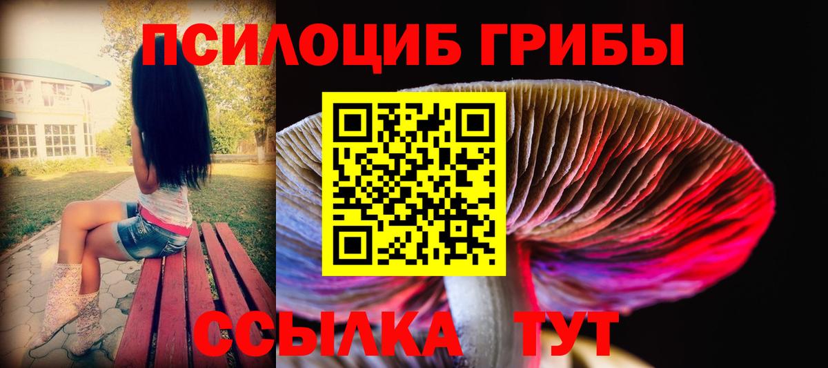 Псилоцибиновые грибы GOLDEN TEACHER Махачкала