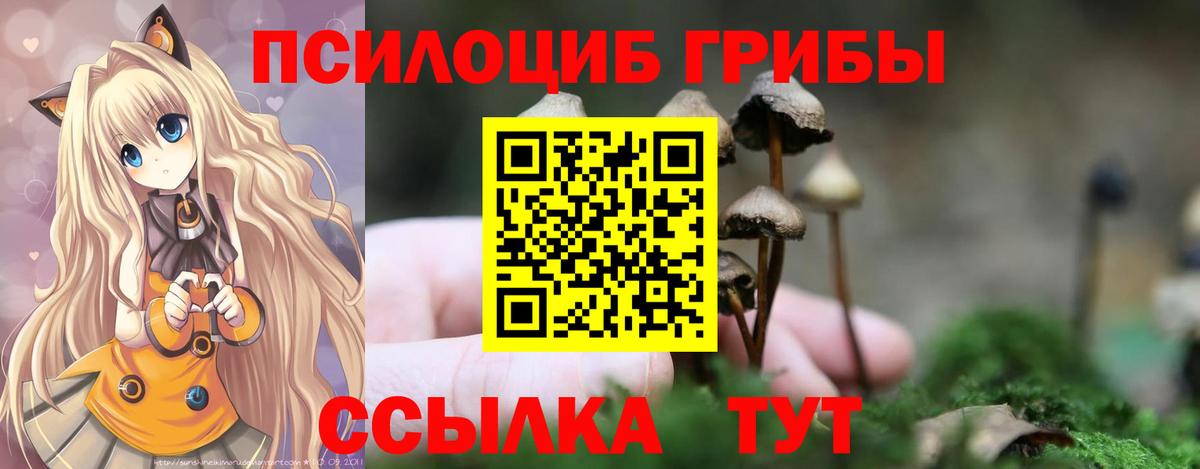 Псилоцибиновые грибы прущие грибы  Вход с VPN  Галлюциногенные грибы Cubensis  Махачкала 